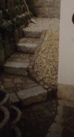 pic7.jpg
